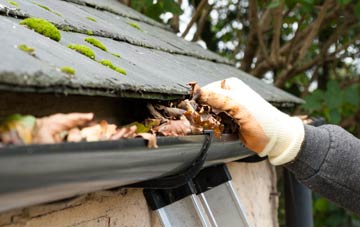 gutter cleaning Dalry