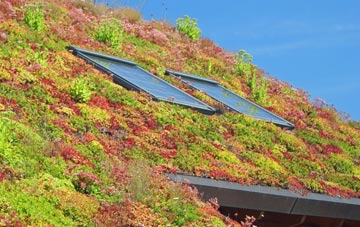 Dalry living roof systems