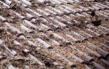 Dalry roof cleaning companies